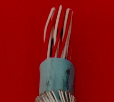 źŵ